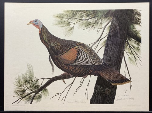 John ruthven limited - a.,