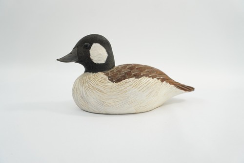 Duck decoy bufflehead - decoy,,