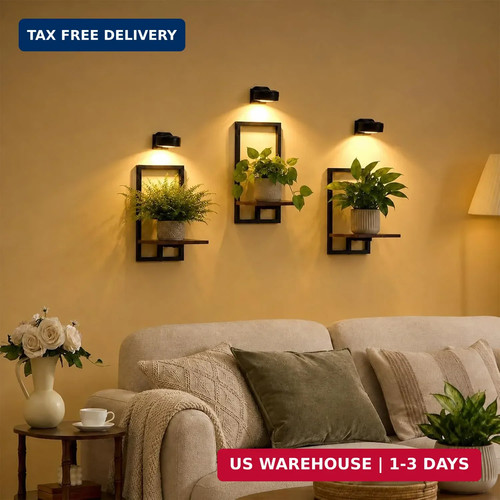 Pack wall planters with grow - pack,