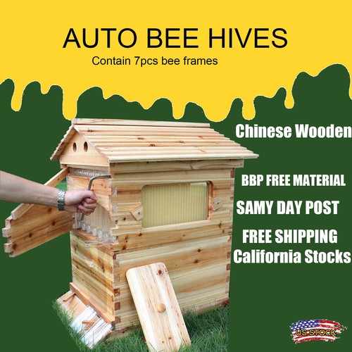 Auto honey bee - bee, boxes