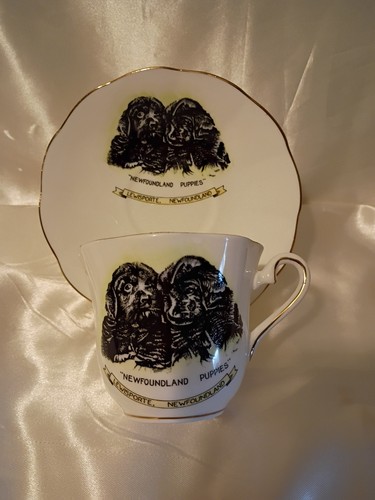 Newfoundland puppies - "newfoundland, puppies"
