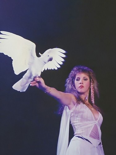 Hot stevie nicks poster - nicks,