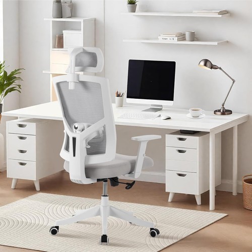 Ergonomic executive chair - ergonomic, w/