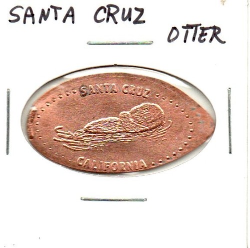 Santa cruz otter elongated - cruz,