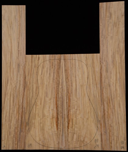 Prima vera guitar - vera, #04
