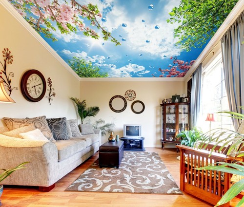 Sky bubble na744 ceiling - 3d,