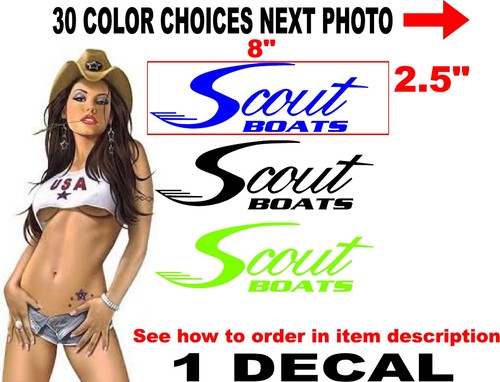 Scout boats hull window - scout,