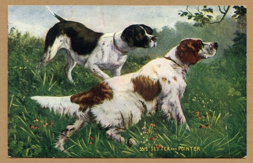 Antique postcard setter - postcard, and