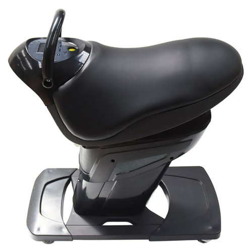 110v electric black horse - 110v,