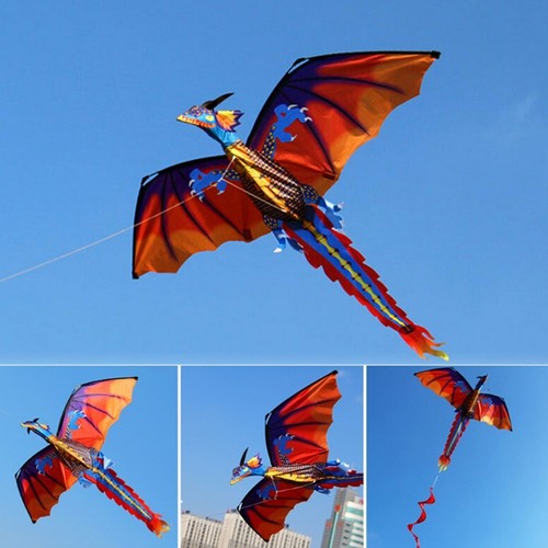 Dragon single line kite - 3d, for