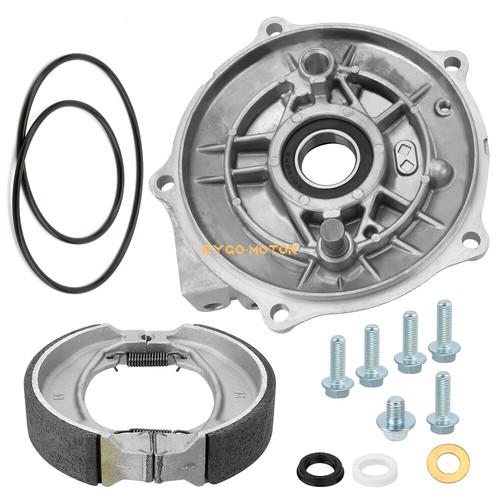 Rear brake panel - brake, shoes