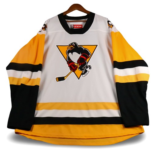 Wilkes barre scranton penguins - wilkes-barre,
