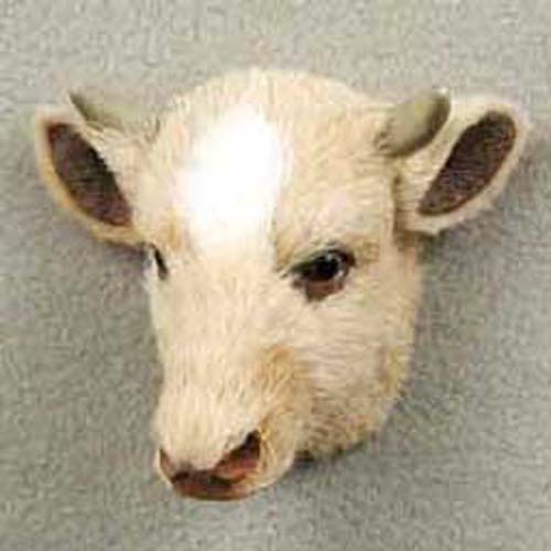 Guernset bull collect - collect, animal