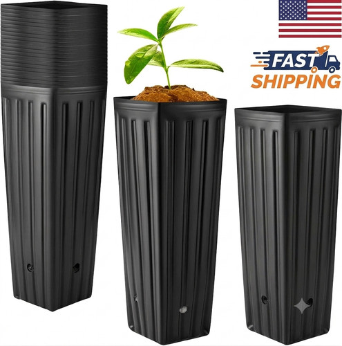 100pcs tall nursery plant - plant, pots