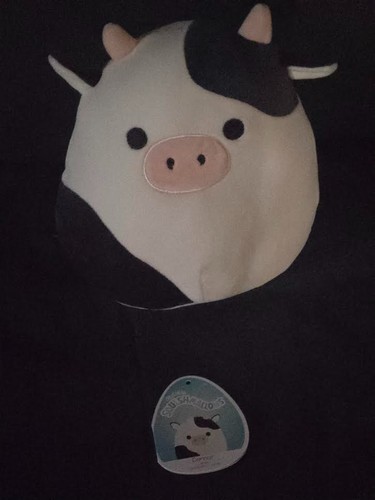 Squishmallows kellytoy - kellytoy, 8”