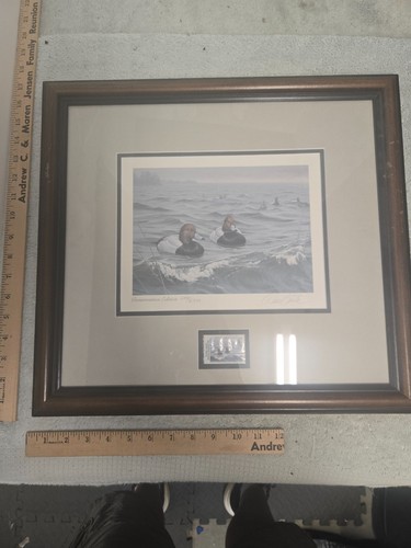 Ducks unlimited framed - unlimited,,
