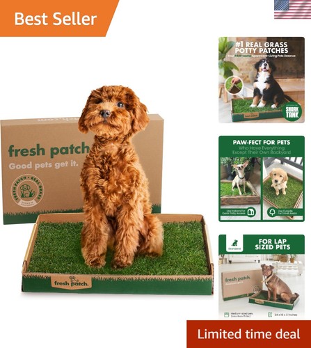 Ultimate grass pee pad - grass,