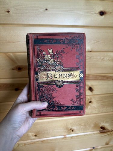 Burns hardcover book excelsior - burns,