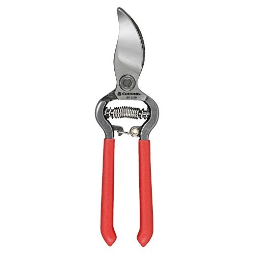 Corona classiccut inch cut - classiccut,
