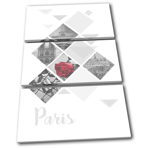 Paris love rose - paris, tower