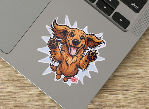 Happy longhaired dachshund - happy,