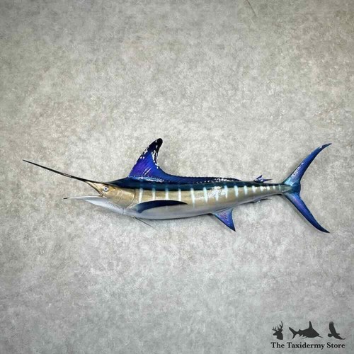 30976 blue marlin - #30976,