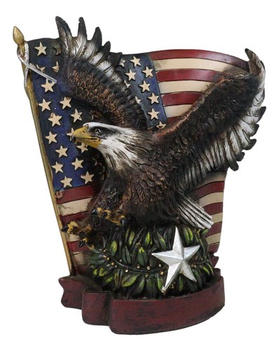 American bald eagle - american,