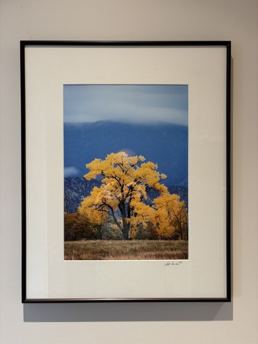 Scot gerdes framed photography - gerdes,