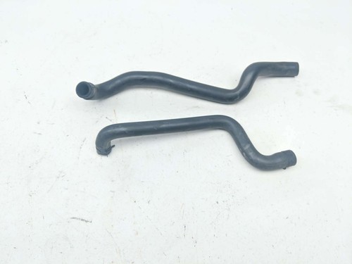 Triumph thruxton 900 hose - triumph,