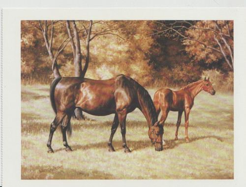 Morgan mare and foal - mare,