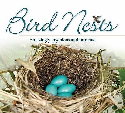 Bird nests amazingly - nests:,