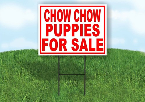 Chow puppies - for, sale