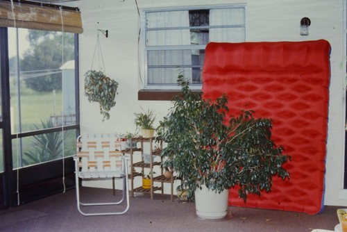 C1970 35mm slide film indoor - 35mm,