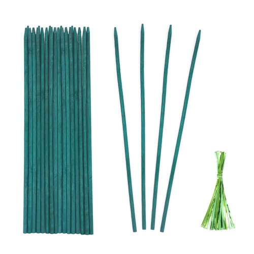 Pack inch green bamboo - 25,