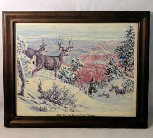 Vtg landscape deer - vtg,