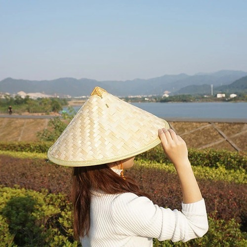 Traditional chinese - traditional,