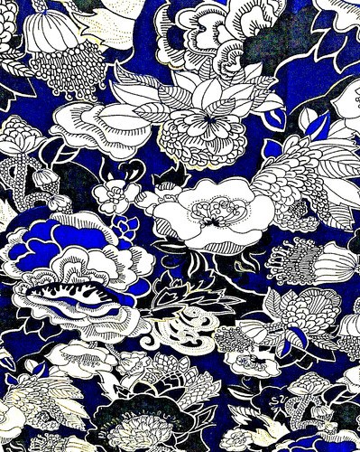 Lotus water lily floral - water,