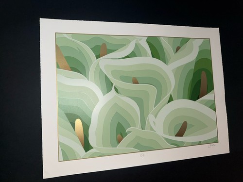 Jet martinez calla signed - jet,