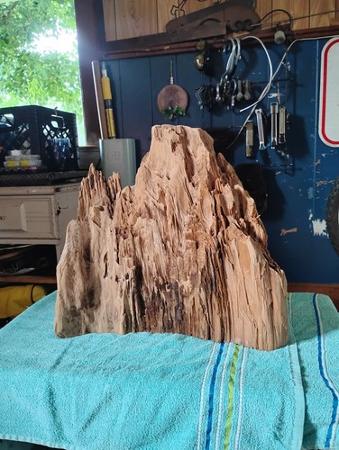 Cypress wood - cypress,