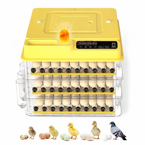 216 egg incubator chicken - egg,