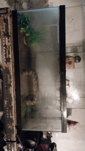 Fish lizard tanks - fish, tops
