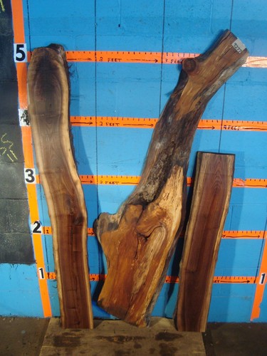 9277 black walnut and - 9277,
