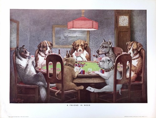 Dogs playing poker - poker,