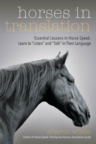 Horses translation - horses,