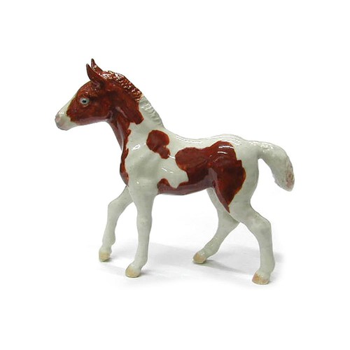 Northern rose horse pinto - northern,