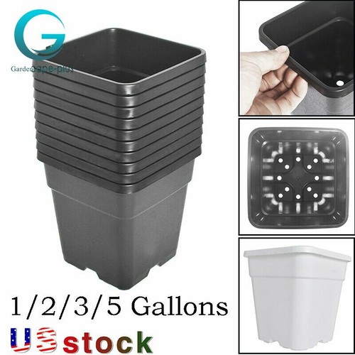 Gallon plastic grow - plastic,
