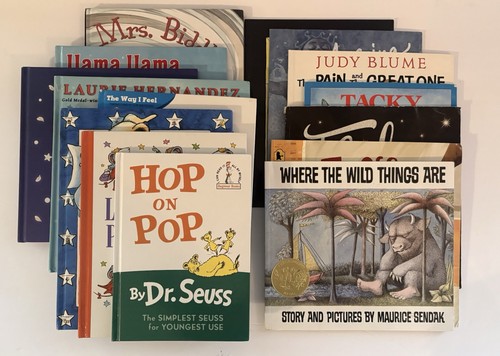 Children book lot bluey - children’s,