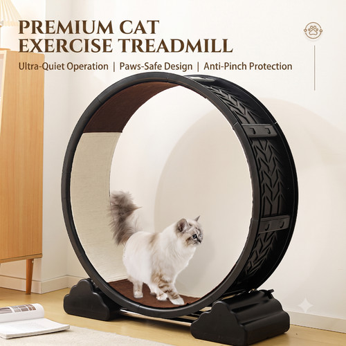 Free shipping large 90cm - [free, shipping]