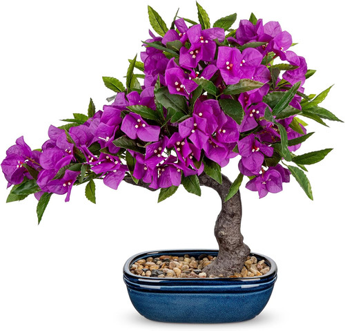 Purple bougainvillea - 18.5",