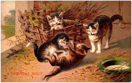 Vintage four barn - four, kittens